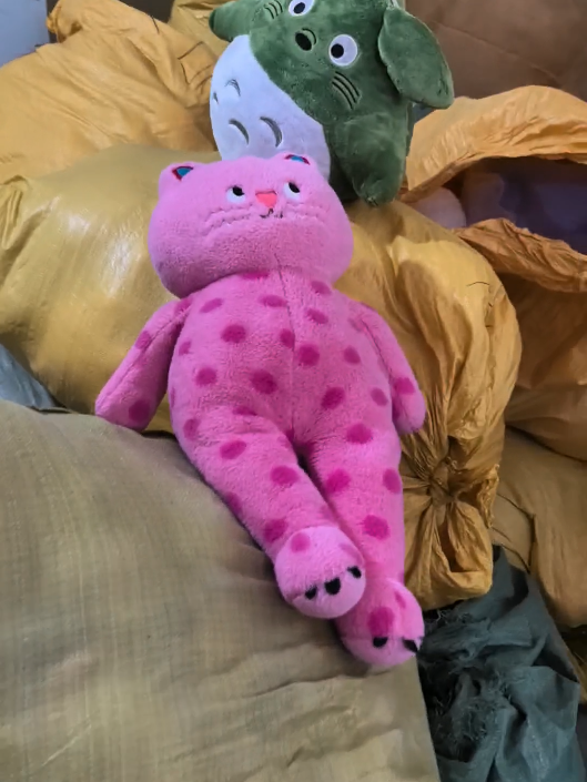 一仓库毛绒玩具